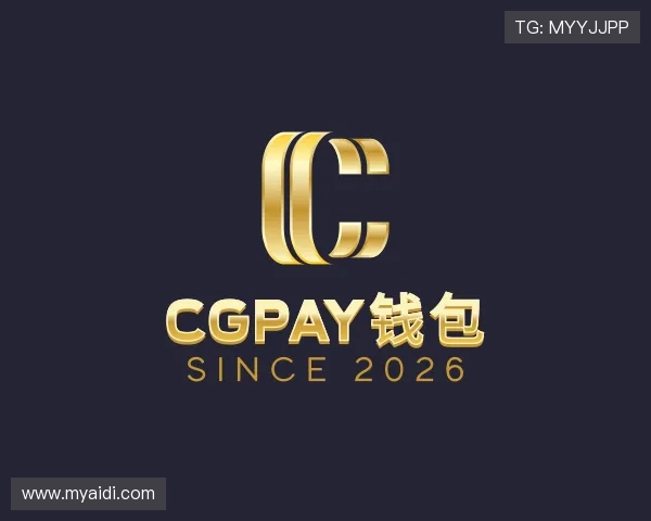 介绍CGPay